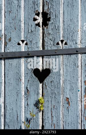 Holztür mit Herz, Stalltür, heller Lack, verwittert, Blätter von Knotengras (Fallopia baldschuanica), altes Bauernhaus, Idylle, romantisch Stockfoto