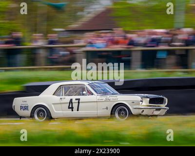 Ein weißer Ford Mustang aus dem Jahr 1965 im Ken Miles Cup, Goodwood Member Meeting 81 mm Stockfoto