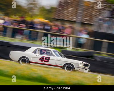 Ein weißer Ford Mustang aus dem Jahr 1965 im Ken Miles Cup, Goodwood Member Meeting 81 mm Stockfoto