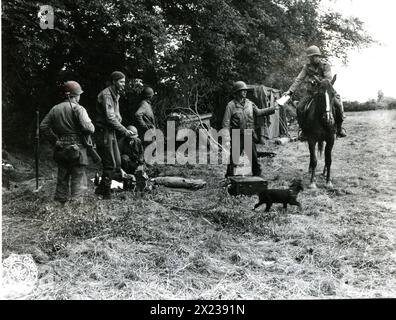 13. Juni 1944: Mitglieder einer Ranger-Einheit nutzen Gefangene deutsche Kavallerie-Pferde für Ausritte und Aufklärungen, irgendwo in Frankreich. Stockfoto