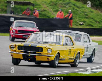 Ein gelber 1965er Ford Mustang (Mustang Sally) Rennen im Ken Miles Cup, Goodwood Member treffen 81 mm Stockfoto