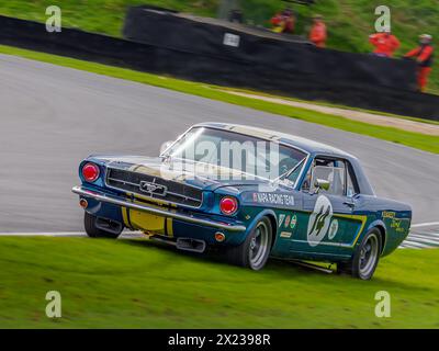 1965 Ford Mustang Rennen im Ken Miles Cup abseits der Rennstrecke, Goodwood Mitglieder treffen 81 mm Stockfoto