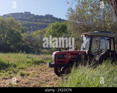 Traktor auf einem Feld in Montefiascone, mit Blick in Richtung Rocca dei Papi (Papstfelsen) auf dem Hügel Italiens. April 2024 Stockfoto