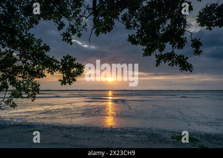 Wattenmeer bei Sonnenuntergang, Dangast, Varel, Friesland, Niedersachsen, Deutschland, Europa Stockfoto