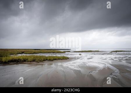 Wattenmeer unter Regenwolken, Sahlenburg, Cuxhaven, Niedersachsen, Deutschland, Europa Stockfoto