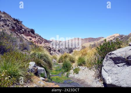 Chile; Nord-Chile; Arica y Parinacota; auf den alten Inka-Pfaden im Hinterland von Putre; entlang der Jurase-Schlucht Stockfoto