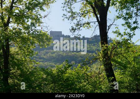 Blick durch Bäume und Folien in Montefiascone in Richtung Rocca dei Papi (Papstfelsen) auf dem Hügel Italiens. April 2024 Stockfoto