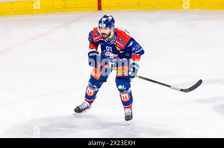 Zürich, Schweiz, 16. April 2024: #91 Denis Hollenstein, Stürmer ZSC Lions. (Quelle: DieBildmanufaktur/Andreas Haas) Stockfoto