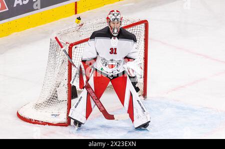 Zürich, 16. April 2024: #31 Connor Hughes, Torhüter Lausanne HC. (Quelle: DieBildmanufaktur/Andreas Haas) Stockfoto