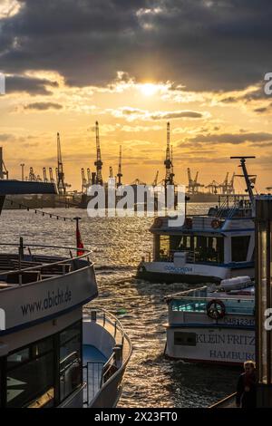 Hafen Hamburg, Blick auf die Werft Blohm + Voss, abends Krane der Containerterminals, Hamburg Deutschland, Stockfoto