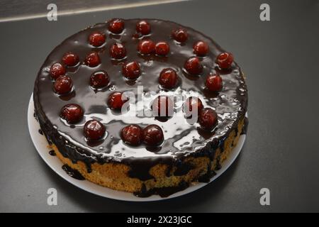 Weißer Biskuitkuchen „Drunken Cherry“, dekoriert mit Schokoladenglasur mit karamellisierten, roten und hellen, süßen Kirschen. Stockfoto