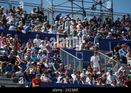 Barcelona, Spanien. April 2024. Die Zuschauer in Aktion während des Barcelona Open Banc de Sabadell Tennis Turniers im Reial Club de Tennis Barcelona in Barcelona, Spanien. Quelle: Christian Bertrand/Alamy Live News Stockfoto