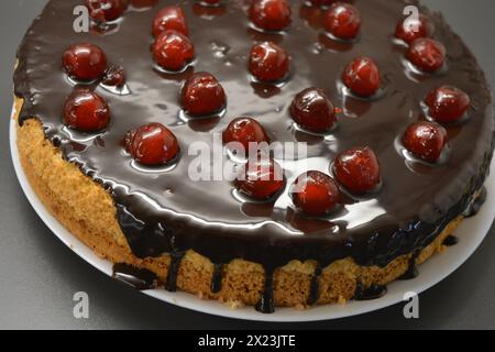 Weißer Biskuitkuchen „Drunken Cherry“, dekoriert mit Schokoladenglasur mit karamellisierten, roten und hellen, süßen Kirschen. Stockfoto