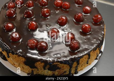 Weißer Biskuitkuchen „Drunken Cherry“, dekoriert mit Schokoladenglasur mit karamellisierten, roten und hellen, süßen Kirschen. Stockfoto