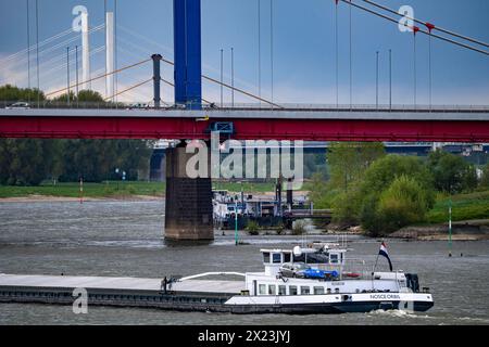 Frachtschiffe auf dem Rhein bei Duisburg, Höhe Hafen Ruhrort, Friedrich-Ebert-Brücke, hinten die Rheinbrücke Neuenkamp, A40, Neubau weiss, alte Brücke im Rückbau, NRW, Deutschland, Schiffsverkehr Rhein *** Frachtschiffe auf dem Rhein bei Duisburg, bei Ruhrort Hafen, Friedrich-Ebert-Brücke, hinter der Rheinbrücke Neuenkamp, A40, Neubau weiß, alte Brücke im Abwracken, NRW, Deutschland, Schifffahrtsverkehr Rhein Stockfoto