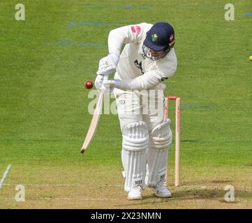 NORTHAMPTON, ENGLAND, 19. April -2024: Colin Ingram von Glamorgan im Actionbatting während des Zweitspiels der Vitality County Championship zwischen Northamptonshire und Glamorgan auf dem County Ground in Northampton, England Stockfoto