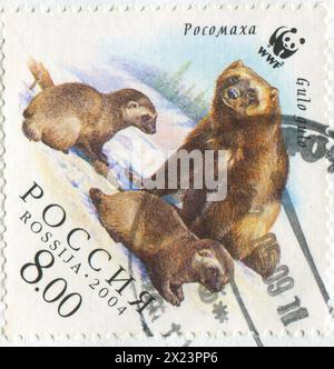 RUSSLAND - CA. 2004: Briefmarke gedruckt von Russland, zeigt Gulo, ca. 2004 Stockfoto