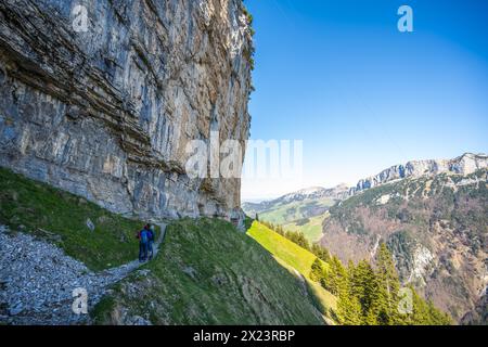 Beschreibung: Touristen auf dem Alpenweg zur Äscher Hütte bewundern die riesige überhängende Felsmauer von unten. Seealpsee, Appenzell, Schweiz, Europa. Stockfoto