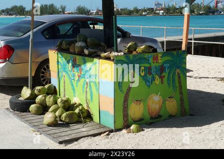 Ein farbenfroher Marktstand mit Kokosnüssen, die an einem nahe gelegenen Strand auf der Karibikinsel Bahamas verkauft werden können. Stockfoto