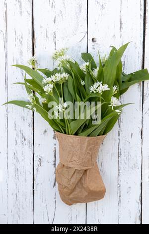 Ein Haufen wilder Knoblauch mit Blumen Stockfoto