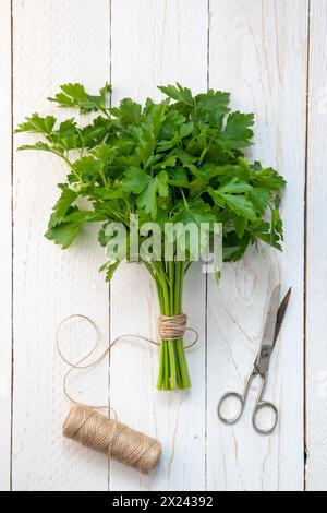 Ein Bund Petersilie Stockfoto