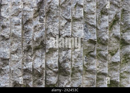 Abstrakter Hintergrund einer alten, verlassenen Betonwand, die mit grünem Schimmel bedeckt ist. Stockfoto