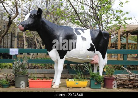 Vauxhall City Farm, eine der ältesten und zentralsten Bauernhöfe in London, Großbritannien Stockfoto