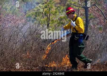 16. April 2024 – Joint Base Cape Cod, Massachusetts, USA – Mitglieder der Massachusetts National Guards Natural Resources und des Integrated Training Area Management Program führten am 16. April 2024 eine verordnete Burn Behind S Range auf Camp Edwards, Massachusetts, durch. Verordnete Verbrennungen werden aus einer Vielzahl von Gründen durchgeführt, einschließlich der Verringerung der Ansammlung gefährlicher Brennstoffe, um die Wahrscheinlichkeit von Waldbränden zu verringern, und der Verbesserung des Lebensraums für einheimische Waldarten, einschließlich Kiefernbarren und Eichenbarren. (Kreditbild: © Steven Eaton/USA Army/ZUMA Press Wire) NUR REDAKTIONELLE VERWENDUNG! Nicht für Commercia Stockfoto