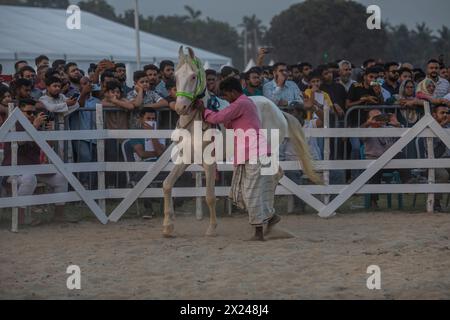 Ein Pferdebesitzer zeigt sein Pferd während der Rampenshow auf dem offenen Gelände neben dem Bangabandhu International Conference Center. Mehr als 200 Heimtierhändler und -Züchter haben sich zusammengefunden, um ihre Tiere auf der Veranstaltung zu präsentieren. Stockfoto