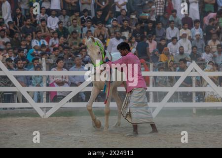 Dhaka, Bangladesch. April 2024. Ein Pferdebesitzer zeigt sein Pferd während der Rampenshow auf dem offenen Gelände neben dem Bangabandhu International Conference Center. Mehr als 200 Heimtierhändler und -Züchter haben sich zusammengefunden, um ihre Tiere auf der Veranstaltung zu präsentieren. (Foto: Sazzad Hossain/SOPA Images/SIPA USA) Credit: SIPA USA/Alamy Live News Stockfoto