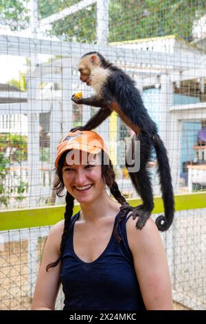 Ein kolumbianischer Kapuzineraffen (Cebus capucinus) steht auf der Schulter einer jungen Frau bei Dschungel Top Adventures and Ziplines, Roat‡n, Hondu Stockfoto