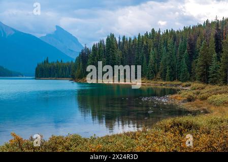 Atemberaubende Herbstausblicke entlang der Maligne Lake Road im Herbst an bewölkten, stimmungsvollen Tagen mit riesigen Berggipfeln und Wildnislandschaft in der Ferne. Stockfoto