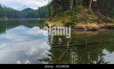 Atemberaubende Herbstausblicke entlang der Maligne Lake Road im Herbst an bewölkten, stimmungsvollen Tagen mit riesigen Berggipfeln und Wildnislandschaft in der Ferne. Stockfoto