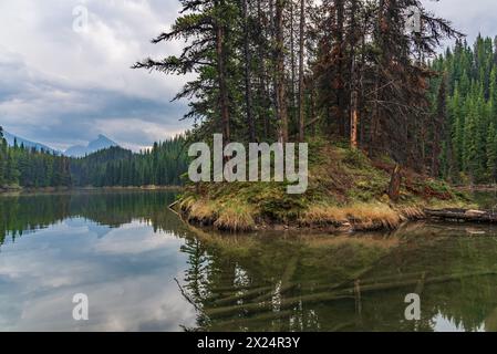 Atemberaubende Herbstausblicke entlang der Maligne Lake Road im Herbst an bewölkten, stimmungsvollen Tagen mit riesigen Berggipfeln und Wildnislandschaft in der Ferne. Stockfoto