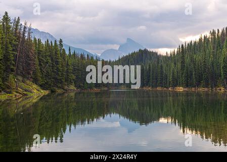 Atemberaubende Herbstausblicke entlang der Maligne Lake Road im Herbst an bewölkten, stimmungsvollen Tagen mit riesigen Berggipfeln und Wildnislandschaft in der Ferne. Stockfoto