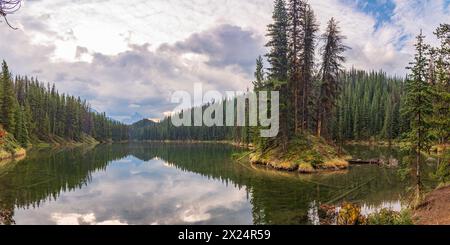 Atemberaubende Herbstausblicke entlang der Maligne Lake Road im Herbst an bewölkten, stimmungsvollen Tagen mit riesigen Berggipfeln und Wildnislandschaft in der Ferne. Stockfoto