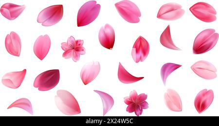 Sakura Blütenblätter Kompositionen Set. Blumendekoration auf transparentem PNG-Hintergrund. Wirbel, Welle, Seitenbereich, rund, horizontal und vertikal, Ecke. Stock Vektor