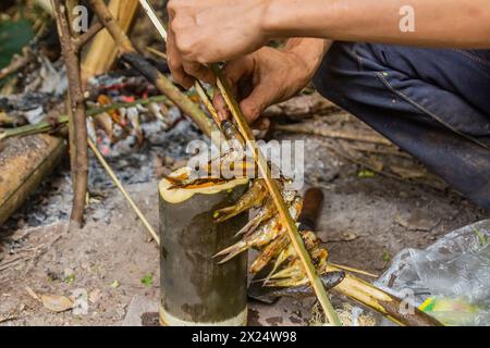 Kleiner gegrillter Fisch wird im Wald in der Nähe von Luang Namtha, Laos, zubereitet Stockfoto