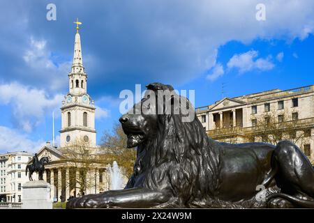 London, Großbritannien - 24. März 2024; Löwe aus Bronze von Sir Edwin Landseer auf dem Trafalgar Square mit Kirchturm Stockfoto