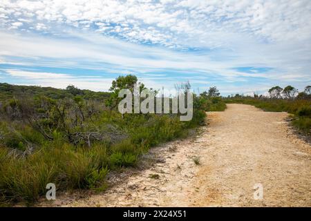 Der entschiedene Rundwanderweg am West Head im Ku-Ring Gai Chase Nationalpark umfasst viele Artefakte und Kunstwerke der Aborigines und atemberaubende Ausblicke auf Austra Stockfoto