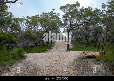 Der entschiedene Rundwanderweg am West Head im Ku-Ring Gai Chase Nationalpark umfasst viele Artefakte und Kunstwerke der Aborigines und atemberaubende Ausblicke auf Austra Stockfoto