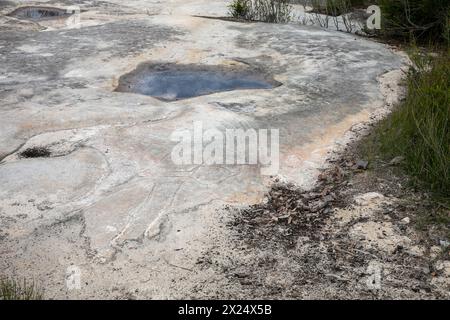 Felskunst der Aborigines neben dem Resolute Loop Trail am West Head im Ku-Ring-Gai Chase-Nationalpark, Region Sydney, NSW, Australien Stockfoto