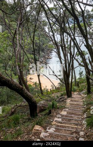 Holzstufen vom Weg hinunter zum Resolute Beach im Ku-Ring-gai Chase-Nationalpark am Ufer von Pittwater, Sydney, NSW, Australien Stockfoto