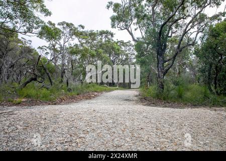 Der entschiedene Rundwanderweg am West Head im Ku-Ring Gai Chase Nationalpark umfasst viele Artefakte und Kunstwerke der Aborigines und atemberaubende Ausblicke auf Austra Stockfoto