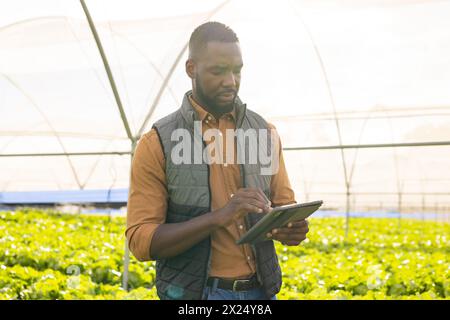 Afroamerikanischer junger männlicher Betriebsleiter kontrolliert Pflanzen im Gewächshaus, hält Tablette Stockfoto