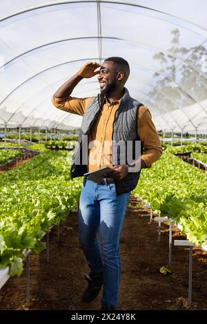 Afroamerikaner junger männlicher Hofaufseher, der über die Hydrokultur-Salatfarm im Gewächshaus schaut Stockfoto