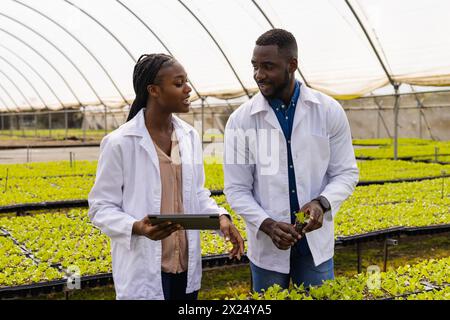 Zwei afroamerikanische junge Farm-Supervisoren diskutieren in einer Gewächshaushydroponischen Farm Stockfoto