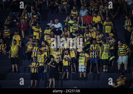 Novo Horizonte, Brasilien. April 2024. SP - NOVO HORIZONTE - 04/19/2024 - BRASILEIRO B 2024, NOVORIZONTINO x CRB - Novorizontino Fans während eines Spiels gegen CRB im Jorge Ismael de Biasi Stadion für die brasilianische B 2024 Meisterschaft. Foto: Pedro Zacchi/AGIF Credit: AGIF/Alamy Live News Stockfoto