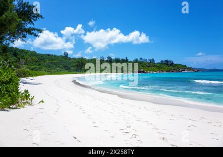 Petite Anse Beach liegt im Osten der Insel La Digue. Stockfoto