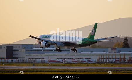 Richmond, British Columbia, Kanada. April 2024. Ein Flugzeug der EVA Air Boeing 777-300ER (B-16710) landet bei Sonnenuntergang am Vancouver International Airport. (Credit Image: © Bayne Stanley/ZUMA Press Wire) NUR REDAKTIONELLE VERWENDUNG! Nicht für kommerzielle ZWECKE! Stockfoto